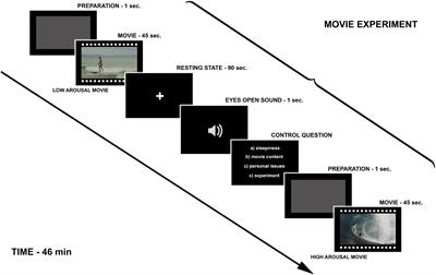 No Risk, No Differences. Neural Correlates of Temperamental Traits Revealed Using Naturalistic fMRI Method